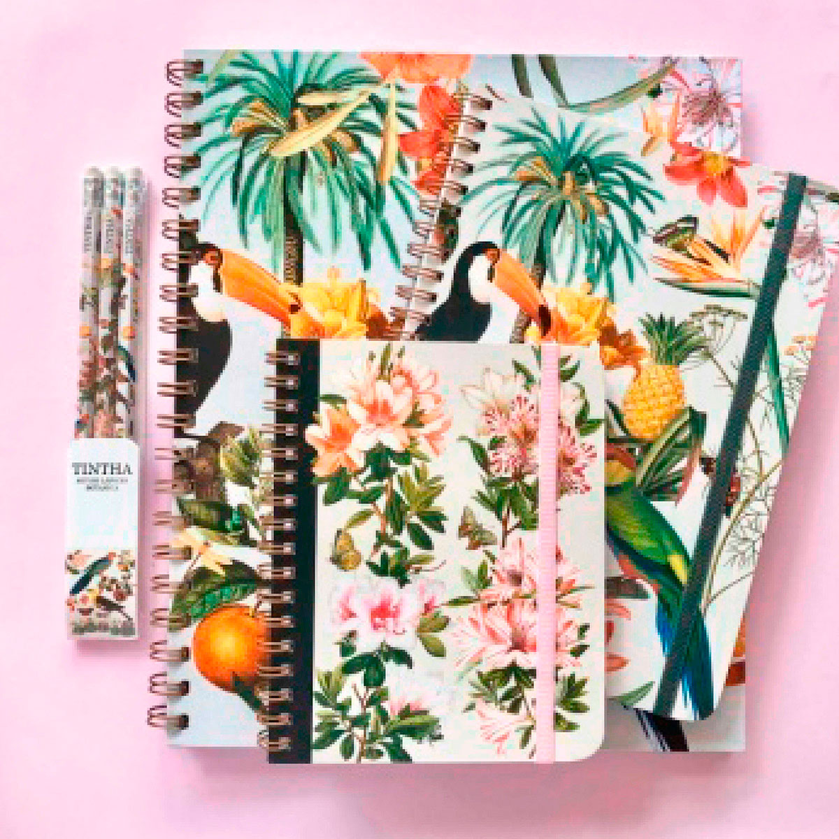 Combo Cuadernos Botánica 